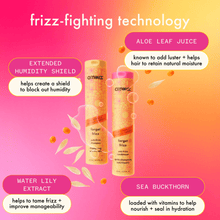 Load image into Gallery viewer, Forget Frizz Shampoo &amp; Conditioner Set
